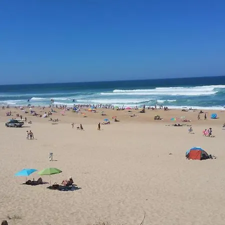 Le 322 Entre Et Ocean アパート ヴュー・ブコー・レ・バン