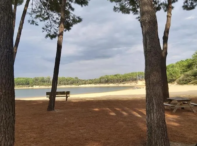 Le 322 Entre Et Océan Vieux-Boucau-les-Bains